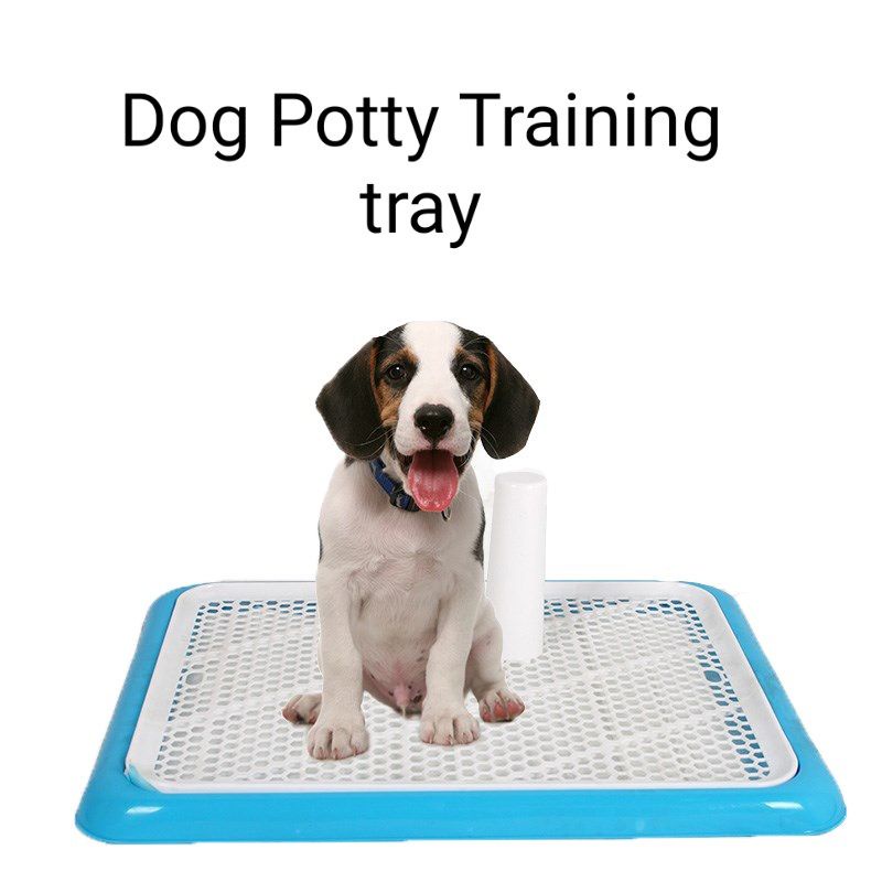 Pet Dog Cat Potty Training Tray with Mesh screen and urinating pole