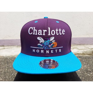 Charlotte hornets hot sale dad hat