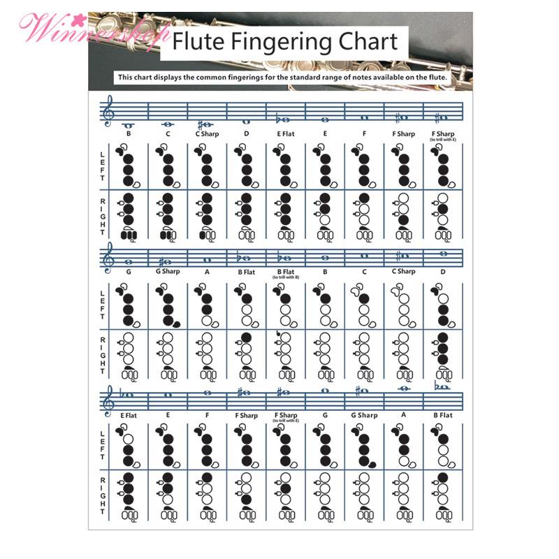Flute Fingering Chart Flute Chord Chart Paper Flute Chords Poster,for