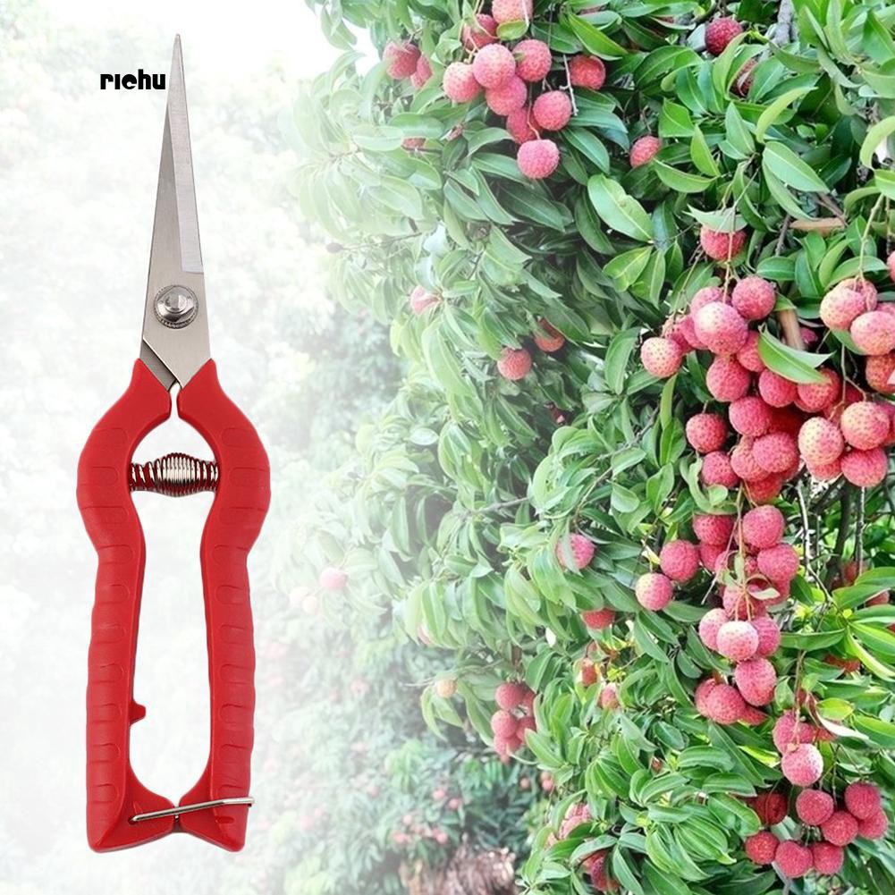 Craft Weeding Pen Aluminum Alloy Paper Weeder with LED Light