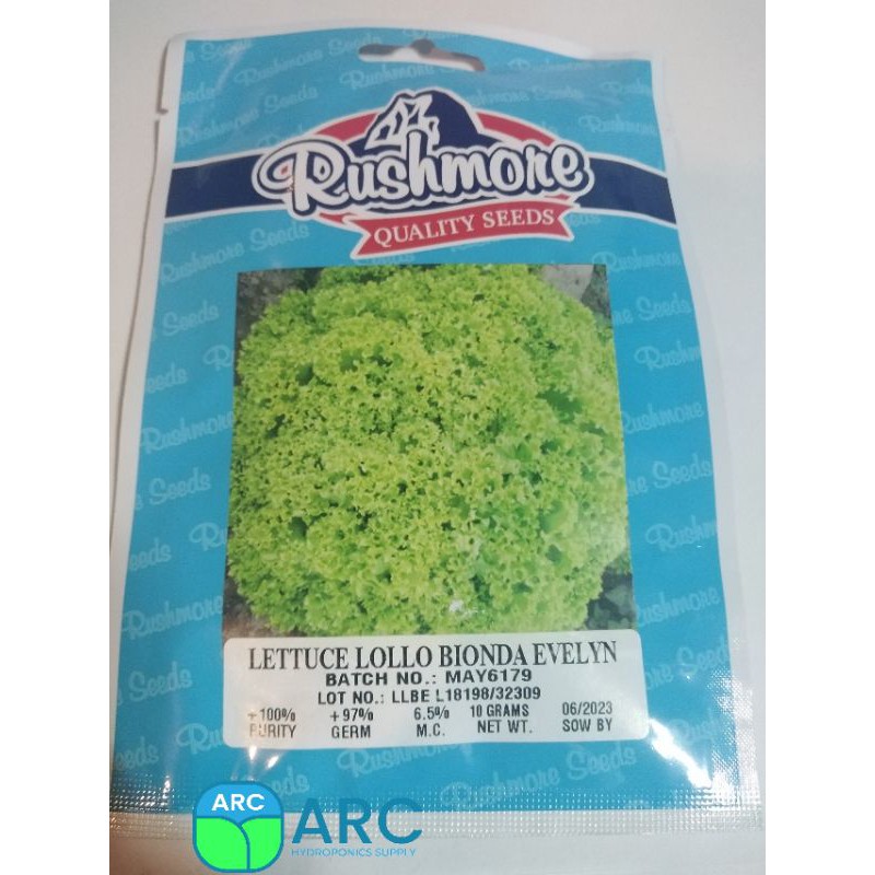 (Estrosa like) Lollo bionda Evelyn Lettuce Seeds Estemate 500pcs seeds