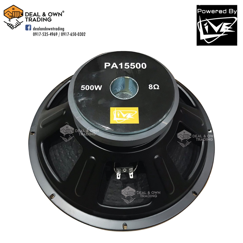 Pa speaker 15 hot sale inch 500 watt