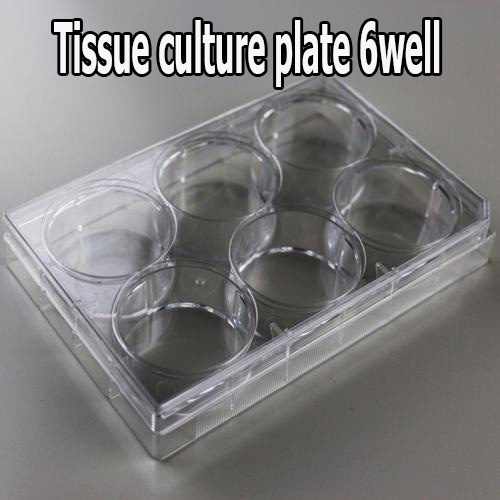 Tissue culture plate 6 well | Shopee Philippines