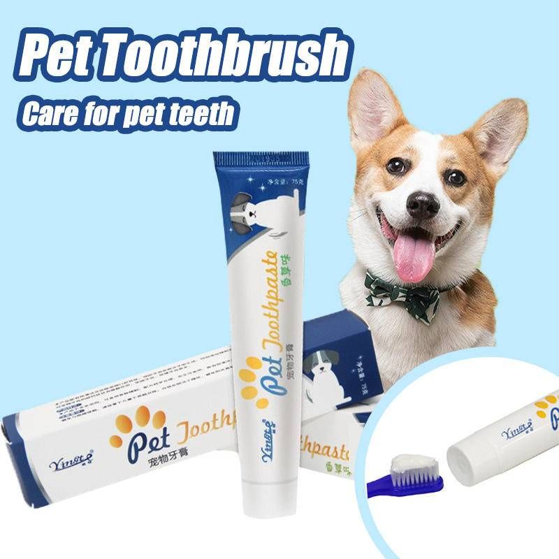 Yingte Vanilla Flavor Toothpaste Shopee Philippines