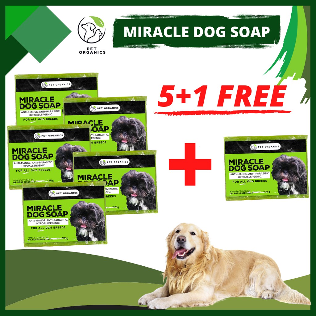 PET ORGANICS 5 1 MIRACLE DOG SOAP BEST for Anti Mange and Hypoallergenic Shopee Philippines