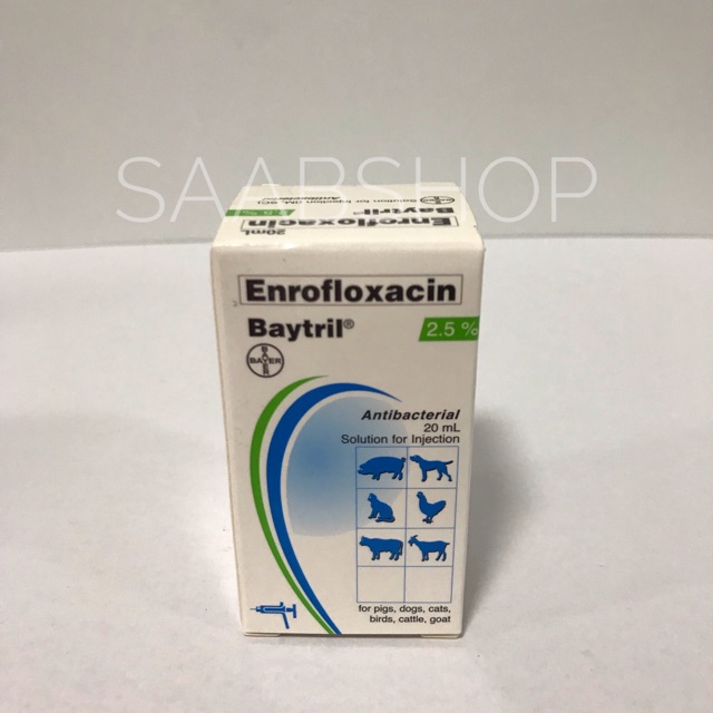 Baytril injection for cats sales