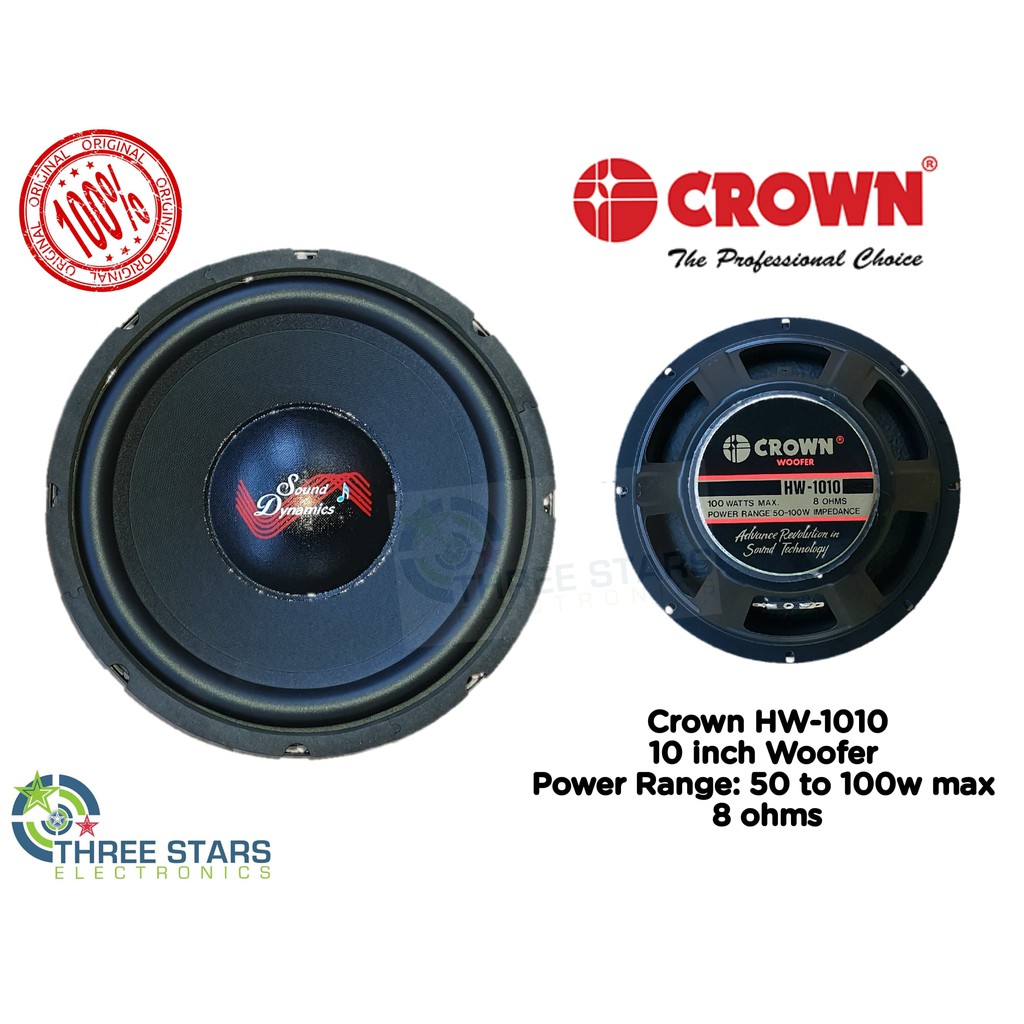 10 inch 100 watt 2024 speaker