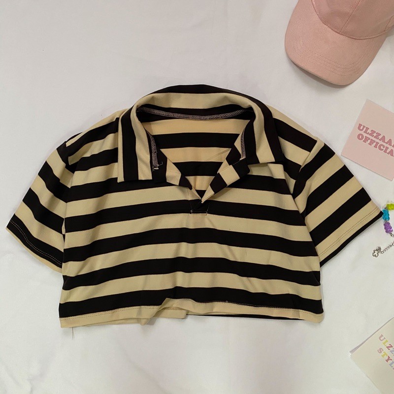 Korean Aesthetic Polo Tumblr Shirt Crop Top Ulzzaang Official Shopee Philippines