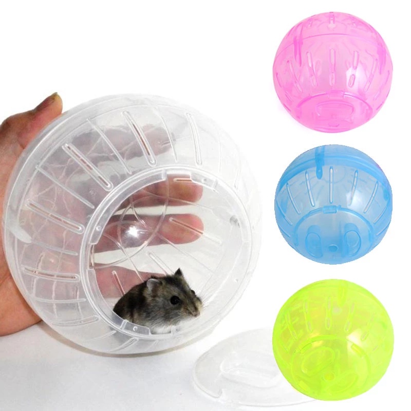 Photo inspiration: Picture Idea: Pet Ball Grounder Jogging Hamster Exercise Toy Hamster Running Fitness