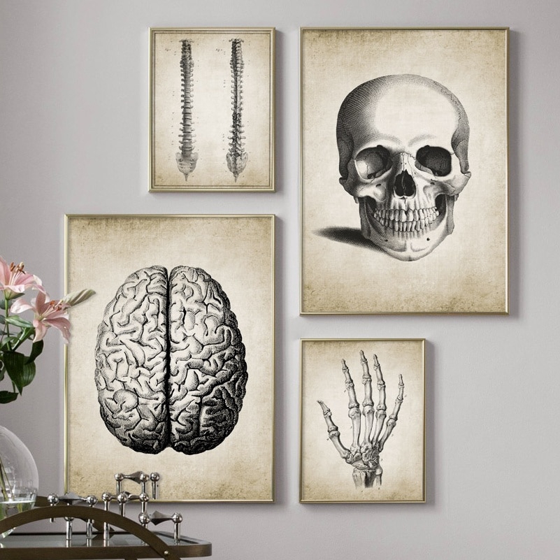 Brain Finger skull Human Anatomy Poster Vintage Wall Art Canvas ...