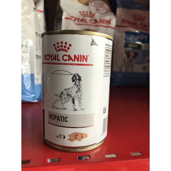 Royal canin hepatic outlet canned