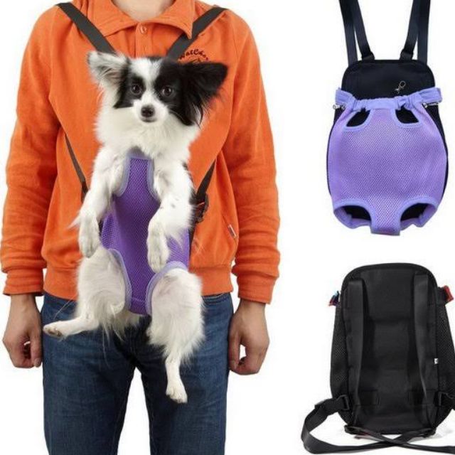 Dog deals body holder