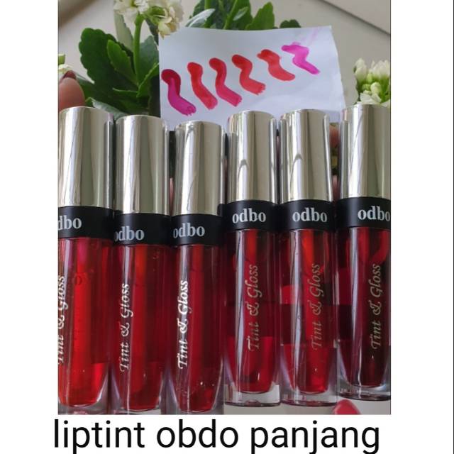 LONG OBDO LIPTINT (ECER) | Shopee Philippines