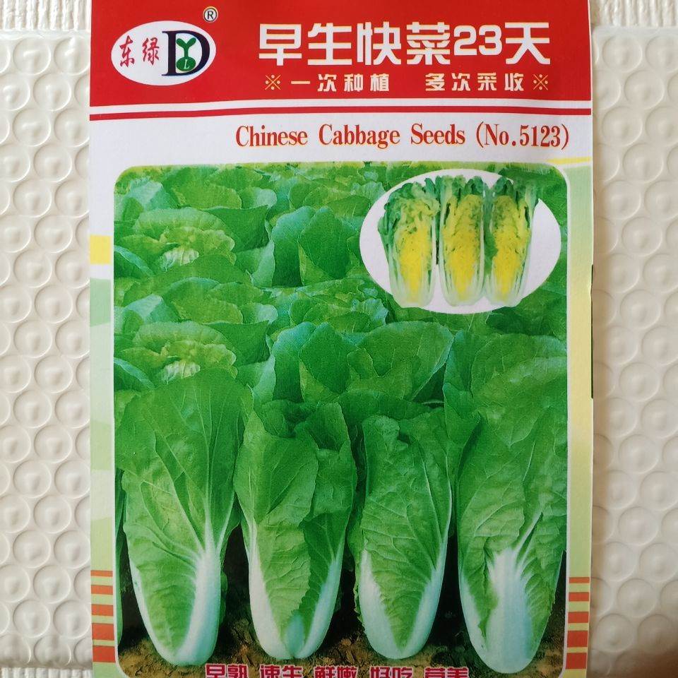 ∏SEEDs002A[Four Seasons Quick Vegetable Seeds] Baby Cabbage Extremely