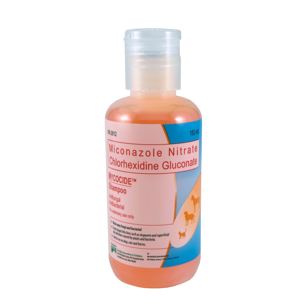 Miconazole best sale chlorhexidine shampoo