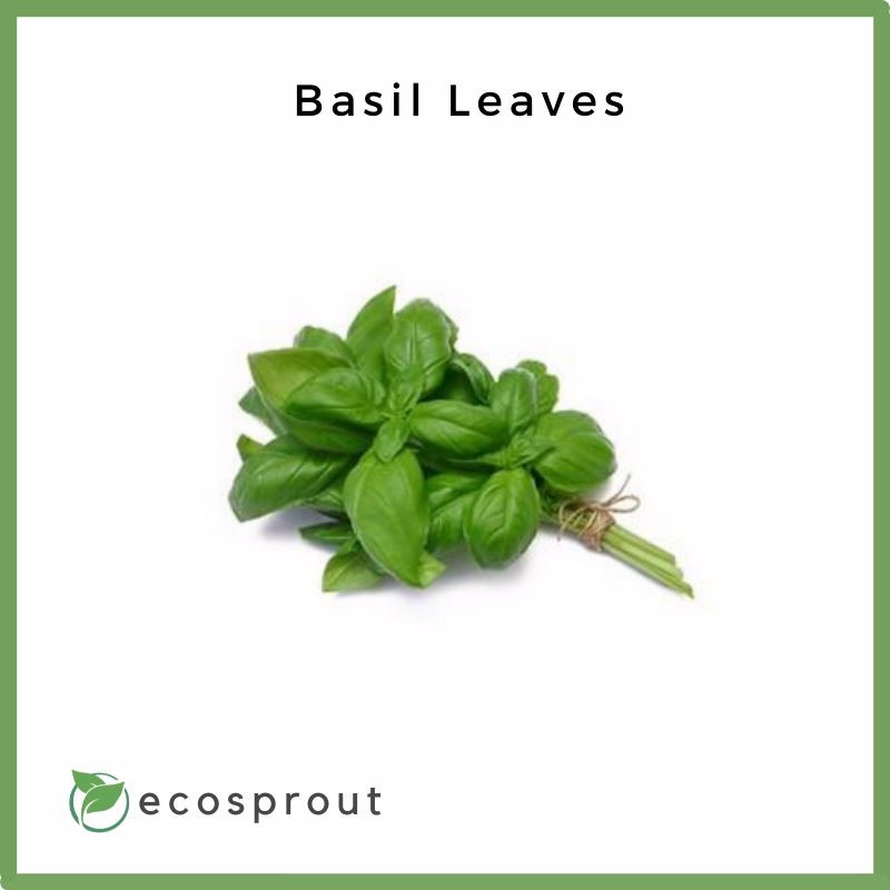 Fresh Basil Leaves Per 50g Fresh Vegetables Fresh Fruits