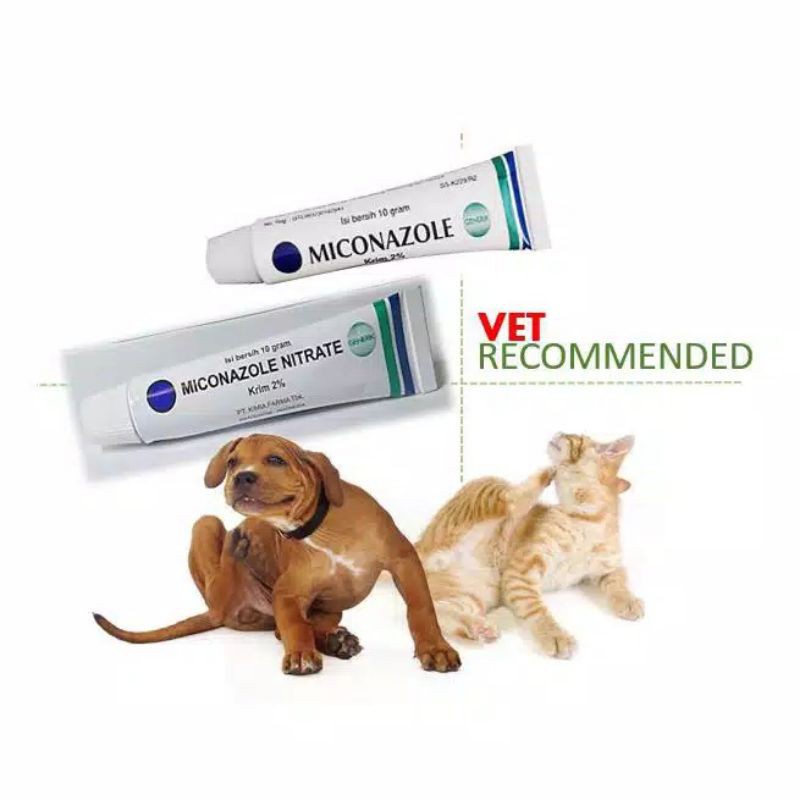 Miconazole Nitrate Ointment 10g Fungus Wound Cat Dog Infection Shopee