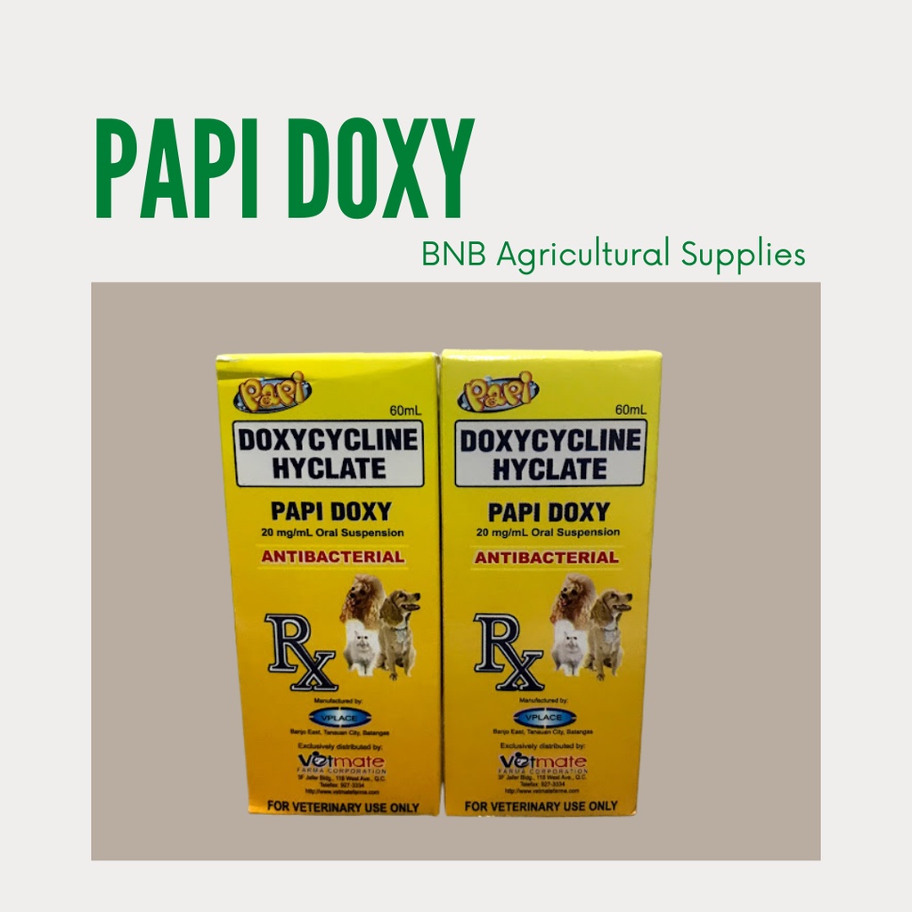 PAPI DOXY Doxycycline Hyclate 10mg/mL Oral Suspension Antibacterial
