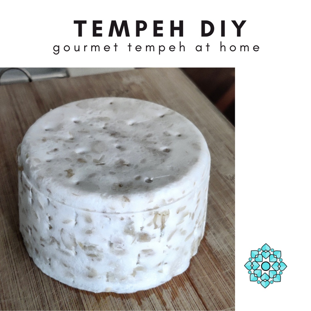 UNCANG Tempeh Starter Ragi Rhizopus Oligosphorus with Instructions (50g