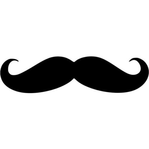 Mustache JDM Decal Sticker Car Truck Window | Shopee Philippines