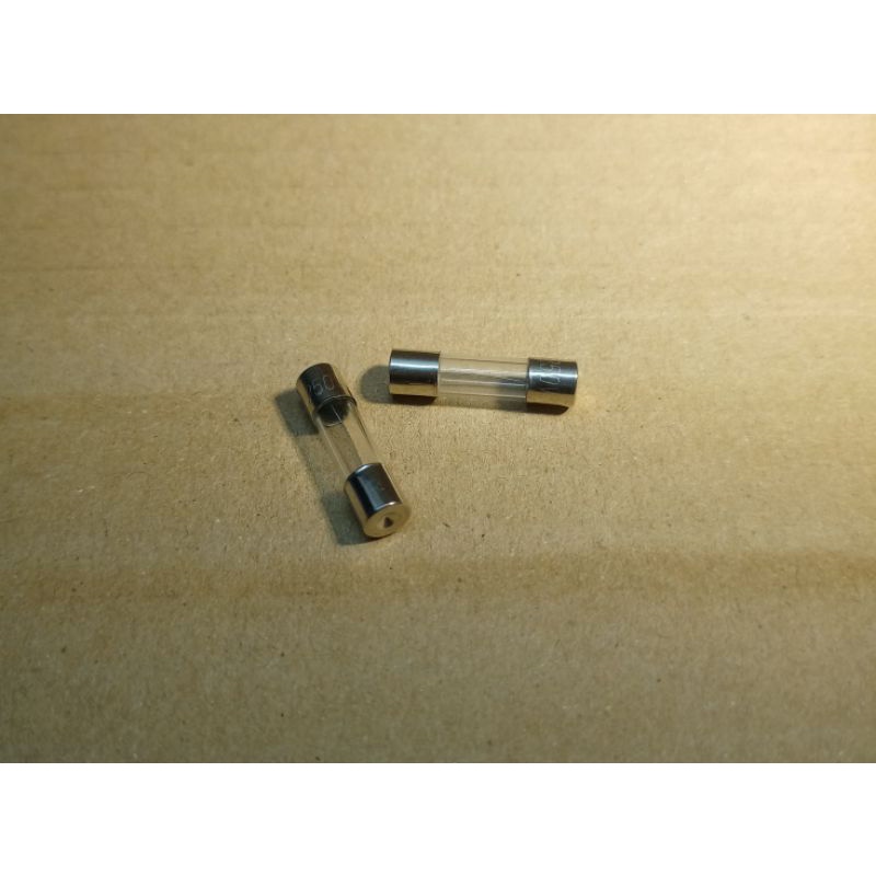 2PCS FUSE 5 AMPERE 250V FOR AVR 5mm X 20mm 25php 2PCS. | Shopee Philippines