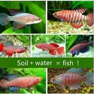 1 Pcs Simulation Electric Jumping Fish Net Red Fish Simulation Electric Fish  Pet Toy Fish Plush Children'S Toys