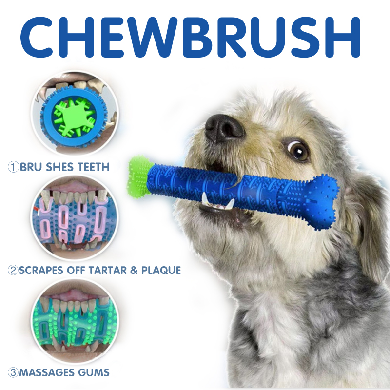 Dog 2024 chewing toothbrush