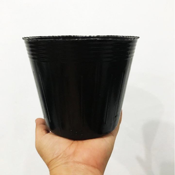 Black Plastic Pots 13 5cm 15 0cm 1pc Only Shopee Philippines   Dcaca35ddcaf3e795994e297c3ebb470