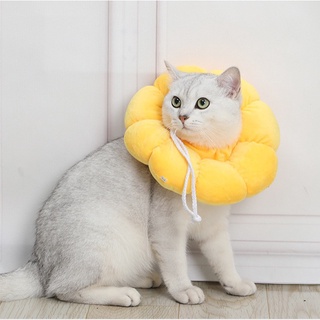 Cat E-Collar Neck Cone Soft Padded Cat Cone | Shopee Philippines