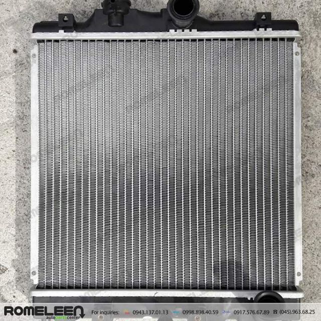 Honda Civic 1992-1998 ESI,LXI,VTI,VTEC 2 Rows/Big Rows Radiator ...