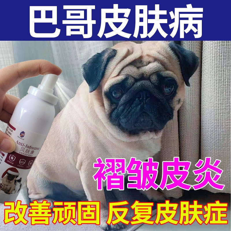 [Pug Skin Disease] Dog Disease Spray Fungus Dermatitis Mites Eczema Body Odor Folds Scabs