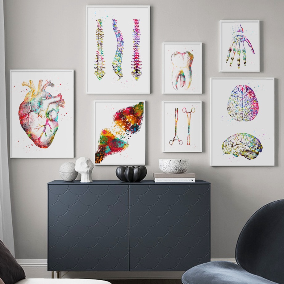 Anatomy Art Human Heart Brain Lungs Wall Art Canvas Painting Nordic ...
