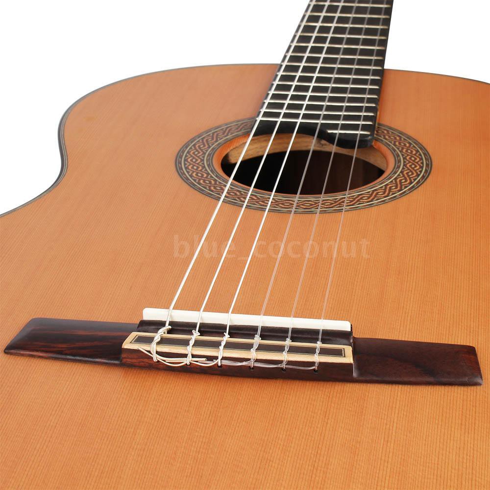 Classical guitar nylon strings sales