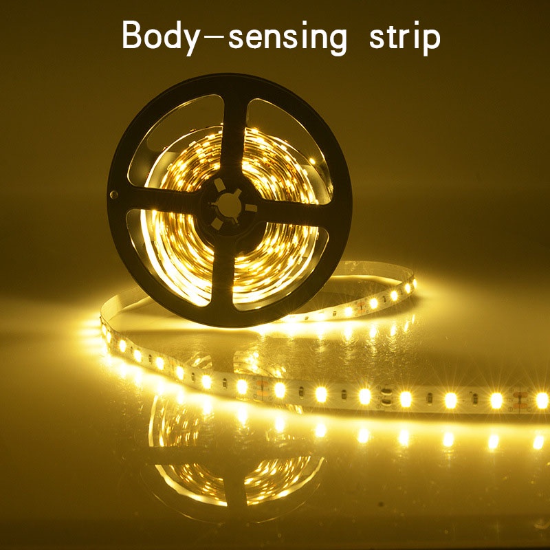 2835 Human Body Intelligent Sensor led Light With 5V Battery Box Set ...
