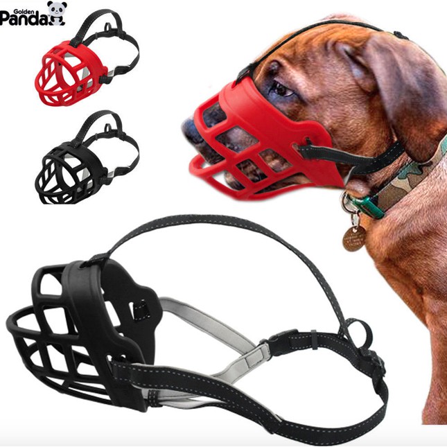 Dog nozzle outlet cover