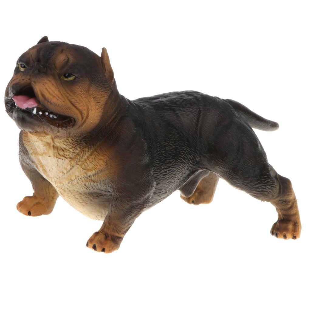 Best toys for outlet american bully