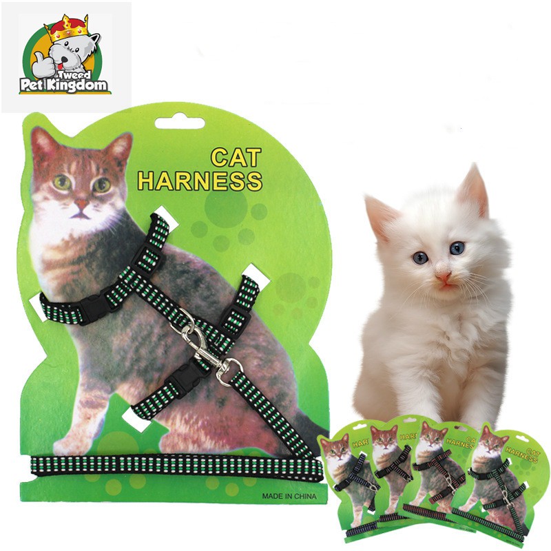 Cat Harness And Leash For Animals Adjustable Pet Traction Harness Belt