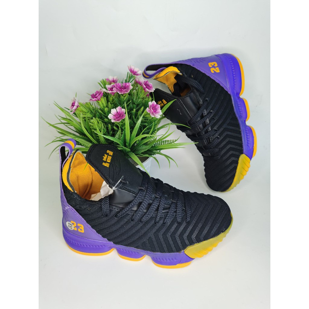 Lebron 16 cheap purple and black