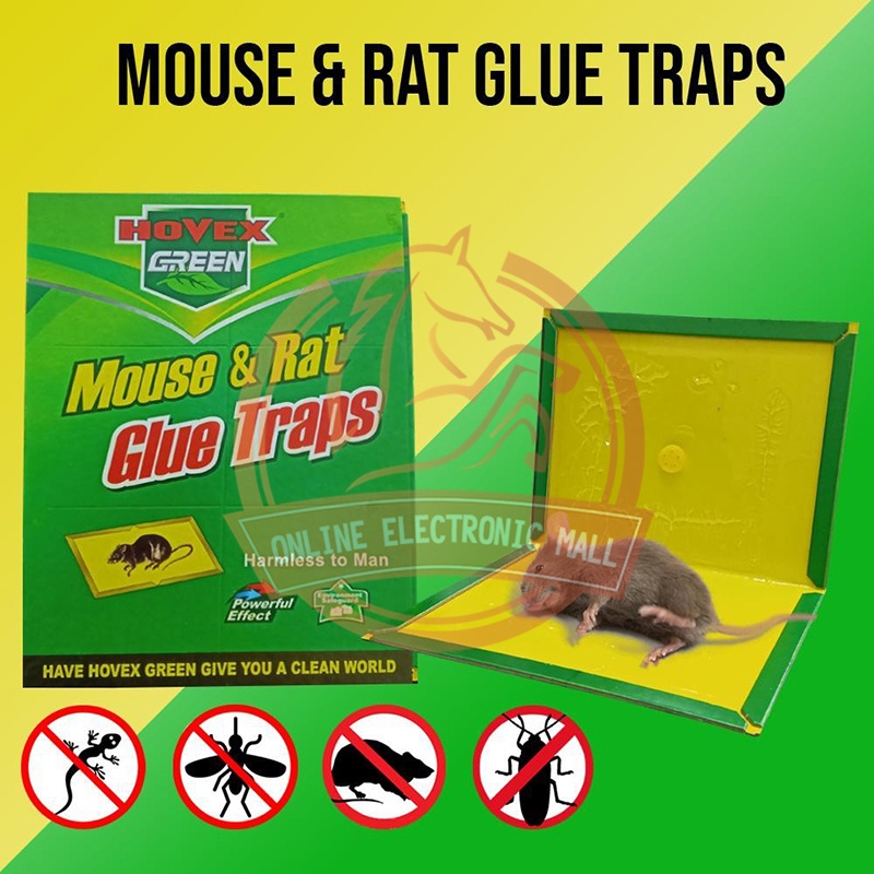 BZ Mouse trap/Tennis glue books/Rat Glue snare mouse balloon/sticker ...
