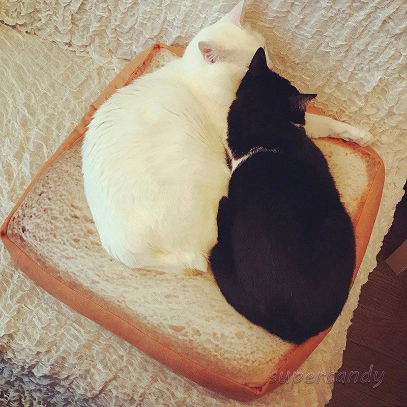 Bread Cats Bed Toast Bread Slice Style Pet Mats Cushion Soft Warm Mattress Bed for Cats Dogs Shopee Philippines