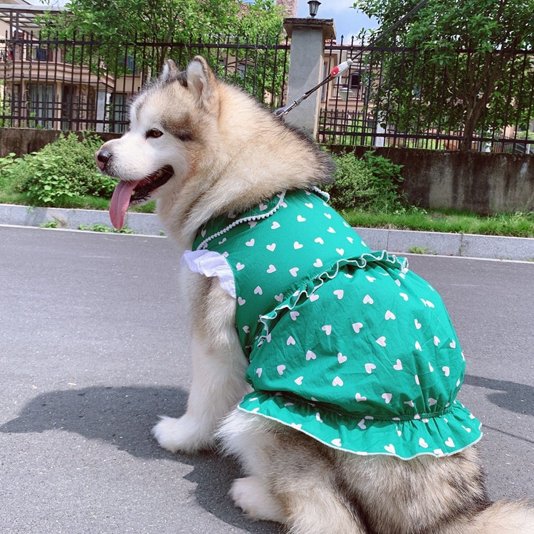 Girl Love Dress Dog Clothes Puppy Clothes Cat Clothes Pet Clothes Dog