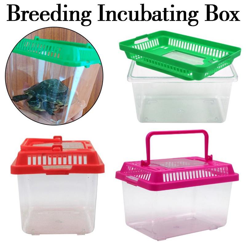 Reptile Terrarium Breeding Incubating Box Spider Frog Box Snake Turtle ...