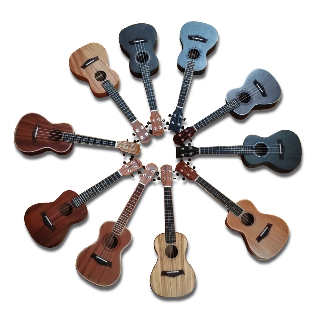 CLEARANCE SALE Assorted Brand Ukuleles Shopee Philippines