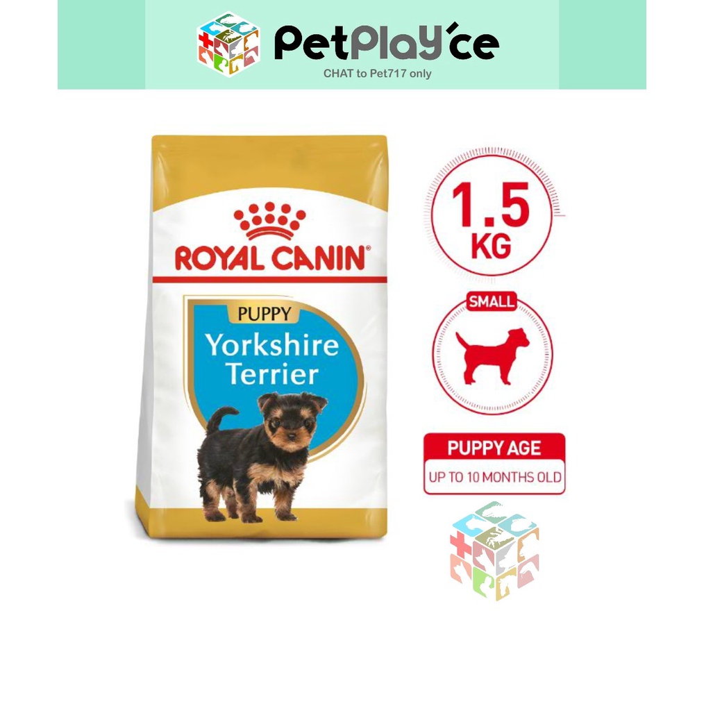 Royal Canin Croquettes West Highland White Terrier Adulte - Aliment Spécifique Pour Race 21kg