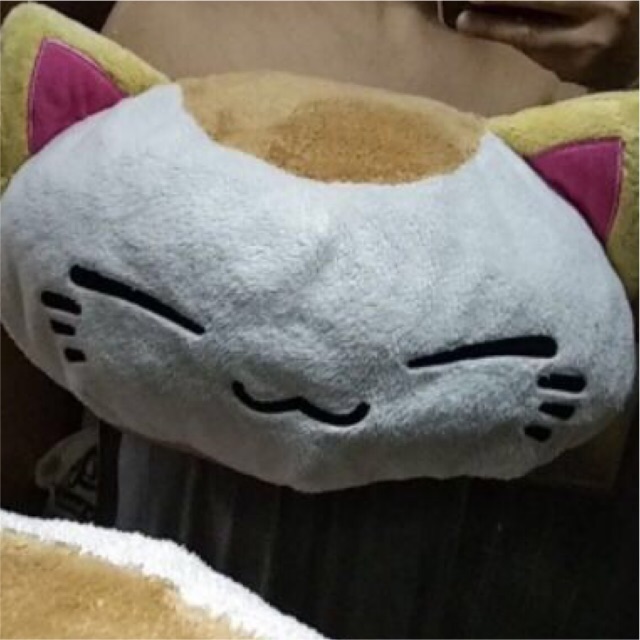 Nemuneko Cat pillow and Mineco Big Cat plush toy Shopee Philippines