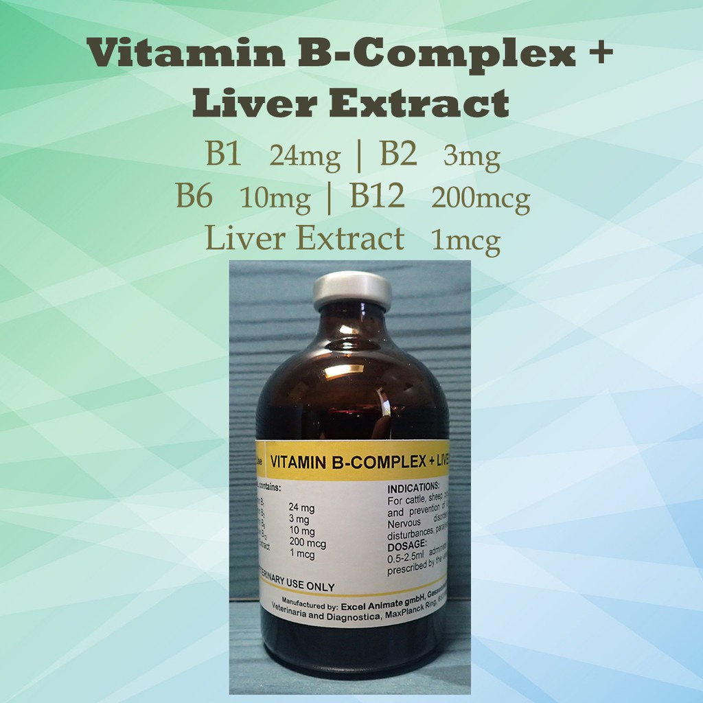 Vitamin + Liver Extract 100ml Injectable Shopee Philippines
