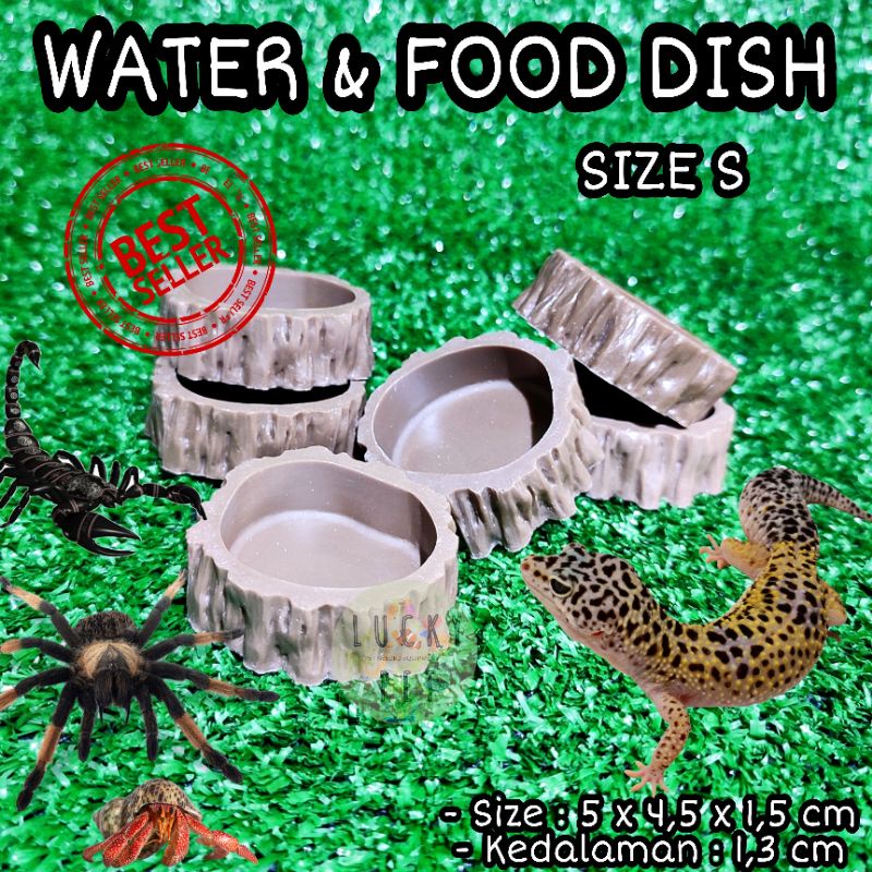 Water dish SMALL S feeding dish food worm calcium dish bowl waterdish ...