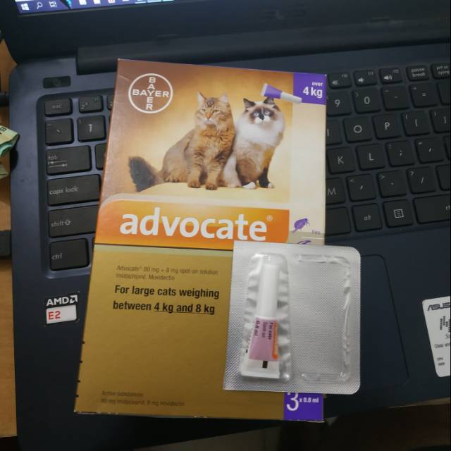 Advocate CAT OVER 4 KG CAT Lice Medicine Shopee Philippines