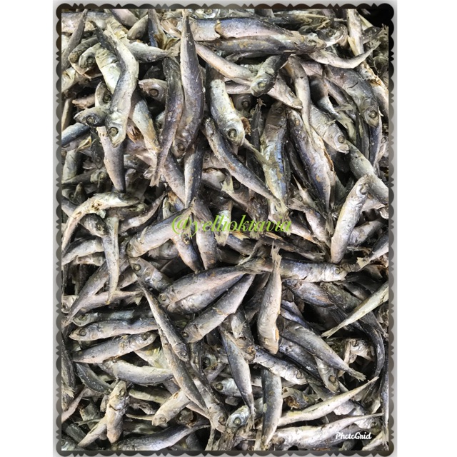 Shop tamban fish for Sale on Shopee Philippines