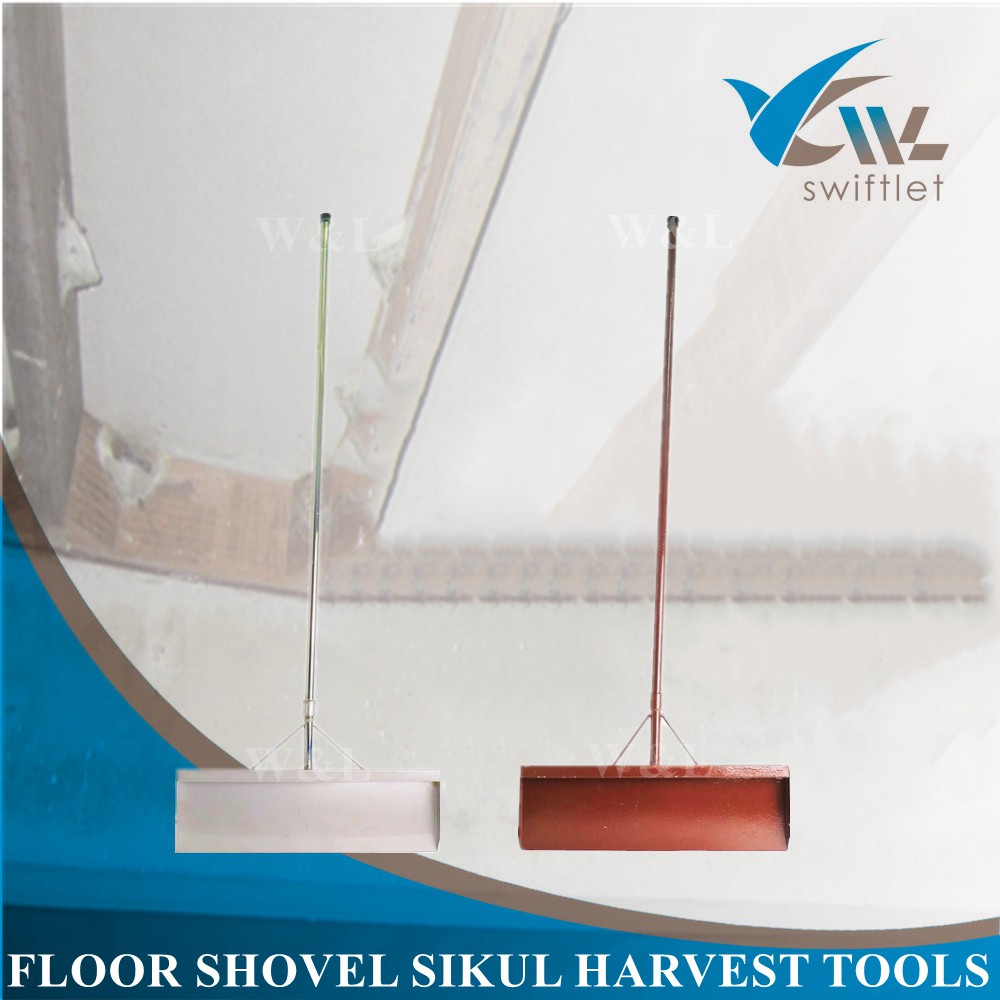 SWIFTLET Poop Floor Shovel/Sikul Harvest Tools (For Swiftlet Farming ...
